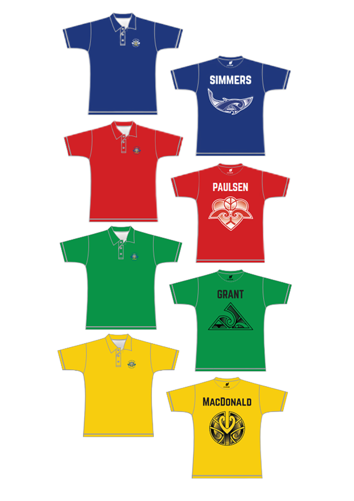 Dannevirke High School PE House Tee